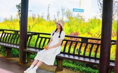 西西人体大胆dd高清